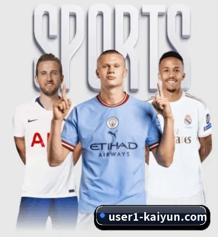 五大服务分区,信息按项目分类（KaiyunSports）